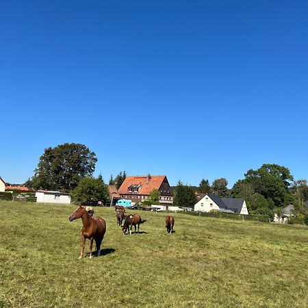 Ferienwohnung Kottmar Walddorf  Экстерьер фото